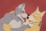  2018 anthro black_nose blush canine cuddling digital_drawing_(artwork) digital_media_(artwork) fox fox_mccloud fur green_eyes grey_fur kissing koorivlf male male/male mammal nintendo nude open_mouth pecs romantic rubbing star_fox tongue tongue_out video_games white_fur wolf wolf_o&#039;donnell 