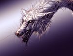  2017 blood blue_eyes detailed_background digital_media_(artwork) dragon fur open_mouth simple_background tatchit teeth tongue whiskers white_fur 