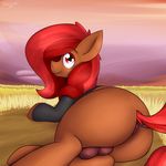  2018 absurd_res anus balls black_clothing brown_balls brown_fur butt clothed clothed_feral clothing digital_media_(artwork) earth_pony equine feral freckles fur girly grass hair hi_res hooves horse long_hair looking_at_viewer looking_back lying male mammal my_little_pony outside pony rear_view red_eyes red_hair red_tail signature smile solo starry5643 