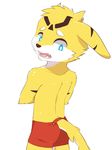  anthro blue_eyes brown_nose cat clothing cub feline fish fur hybrid looking_back male mammal marine open_mouth shark sharparadise shorts simple_background solo standing white_fur yellow_fur young 
