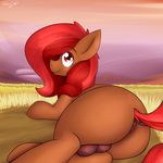  2018 absurd_res anus balls brown_balls brown_fur butt digital_media_(artwork) earth_pony equine feral freckles fur girly grass hair hi_res hooves horse long_hair looking_at_viewer looking_back lying male mammal my_little_pony outside pony rear_view red_eyes red_hair red_tail signature smile solo starry5643 