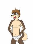  blue_eyes briefs brown_hair bulge canine clothed clothing fuze hair mammal morenatsu nipples open_mouth shun_(morenatsu) simple_background smile teeth tighty_whities topless underwear white_background white_underwear wolf 