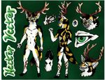  anthro black_fur canine cervine chest_tuft claws elk fur green_background green_eyes grin hector_vector hooves hybrid male mammal margyote model_sheet multicolored_fur multiple_poses nude orange_fur pose scar simple_background smile snarling solo traditional_media_(artwork) tuft white_fur wolf 