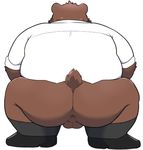  12beat13 anthro anus balls bear big_butt bottomless butt clothed clothing colored male mammal rear_view simple_background solo white_background 