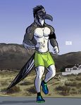  2018 anthro avian beak ben_(bgn) bgn bird clothed clothing feathered_wings feathers looking_at_viewer male multicolored_feathers muscular muscular_male nipples outside running shorts solo tail_feathers topless winged_arms wings 