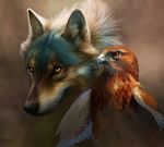 2012 abstract_background ambiguous_gender avian beak bird black_nose brown_fur canine duo feathered_wings feathers feral fur grey_fur hawk mammal novawuff orange_eyes portrait red-tailed_hawk red_eyes red_feathers tan_feathers tan_fur wings wolf yellow_eyes 