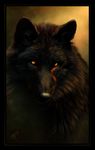  2013 ambiguous_gender black_fur black_nose canine feral fur mammal markings notched_ear novawuff orange_eyes orange_theme red_markings solo wolf yellow_eyes 