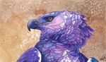  2013 ambiguous_form ambiguous_gender avian beak bird black_beak eagle feathered_wings feathers harpy_eagle looking_at_viewer looking_back novawuff portrait purple_feathers simple_background solo textured_background wings yellow_eyes 