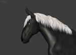  2018 ambiguous_gender black_background black_skin blue_eyes cinta equine feral grey_skin hair horse mammal multicolored_skin side_view simple_background slit_pupils solo standing two_tone_skin white_hair 