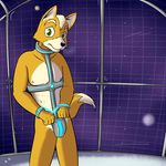  abs anthro bdsm black_nose bondage bound canine clothed clothing codpiece collar fox fox_mccloud fur fuze glowing green_eyes handcuffs hi_res looking_at_viewer male mammal nintendo nipples pinup pose prison raised_eyebrows shackles skimpy solo space space_station standing star_fox story story_in_description video_games white_fur worried yellow_fur 
