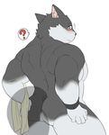  ? anthro blush canine looking_back male mammal muscular muscular_male nude simple_background solo white_background wolvesmind 