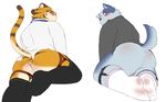 anthro balls blush butt canine clothed clothing duo eyewear feline glasses legwear looking_back male mammal open_mouth socks thick_thighs tiger wolvesmind 