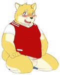  anthro balls blush canine clothed clothing erection erection_under_clothes humanoid_penis kneeling looking_at_viewer male mammal muscular muscular_male open_mouth penis solo wolvesmind 