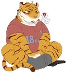  ? anthro blush clothed clothing feline legwear male mammal muscular muscular_male open_mouth sitting socks solo tiger wolvesmind 