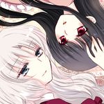  black_hair blue_eyes houraisan_kaguya lowres multiple_girls red_eyes silver_hair sui_(camellia) touhou yagokoro_eirin 