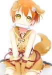  :3 animal_costume animal_ears backlighting blush bone dog_costume dog_ears dog_tail flower gloves green_eyes hair_flower hair_ornament hands_on_lap highres hoshizora_rin kanzashi kemonomimi_mode looking_at_viewer love_live! love_live!_school_idol_project mouth_hold orange_hair paw_gloves paws pimi_(ringsea21) sandals sash short_hair simple_background sitting sleeveless solo tail white_background 