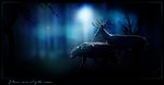  2013 ambiguous_gender antlers black)eyes blue_eyes blue_theme canine cervine deer detailed_background duo ears_back feral forest horn male mammal nature night novawuff outside side_view tree walking wolf 