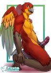  anthro avian bird blush conure delta_the_conure green_eyes humanoid_penis kneeling looking_at_viewer male nude parrot penis piyotm solo 