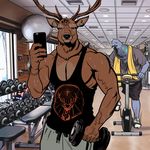  anthro avian billmund bird cervine clothed clothing creatures_of_the_night deer duo exercise gym looking_at_viewer male mammal muscular muscular_male phone pigeon shirt smile sweat tank_top the_stag weightlifting wingman workout 