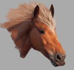  2017 ambiguous_gender chefjulienne equine feral grey_background hair headshot_portrait hi_res horse looking_at_viewer mammal portrait simple_background solo 