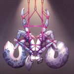  2018 anthro balls bdsm bondage bound chest_tuft digital_media_(artwork) duo erection feline frottage fur girly hair hands_behind_back humanoid_penis kissing leopard lockworkorange long_hair male male/male mammal novus nude penis precum resine rope rope_bondage rope_harness sex simple_background snow_leopard spots tuft uncut upside_down white_balls 