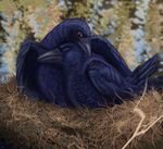  2018 ambiguous_gender avian beak bird black_feathers corvid crow cuddling detailed_background digital_media_(artwork) dolphinwarrior duo eyes_closed feathered_wings feathers feral hi_res looking_at_partner lying nest nude orange_eyes outside realistic smile wings 
