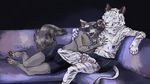  black_background bulge colored deerface_(artist) eyewear feline fluffy hi_res hug jewelry mammal necklace paws procyonid raccoon reiora_(character) ringtail simple_background sofa sunglasses tervos_(character) tiger white_tiger 