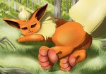  eeveelution female flareon foot_focus nintendo pawpads paws pok&eacute;mon pok&eacute;mon_(species) pussy solo video_games xxgato 