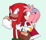 2018 absurd_res amy_rose anthro black_nose clothing duo echidna female flower flower_in_hair food gloves green_eyes hair hairband hedgehog hi_res knuckles_the_echidna male mammal monotreme pink_hair plant purple_eyes short_hair simple_background sonic_(series) sp-rings video_games 