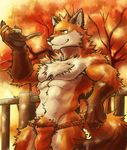  2017 absurd_res anthro autumn biceps canine clothing digital_media_(artwork) fox fur hi_res kemono male mammal muscular one_eye_closed outside pecs simple_background tupidwithouts underwear wink 