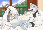  2017 abs absurd_res anthro bed biceps canine clothed clothing digital_media_(artwork) fur hi_res kemono male mammal muscular muscular_male open_shirt pecs procyonid raccoon simple_background tupidwithouts wolf 