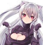 al_bhed_eyes animal_ear_fluff animal_ears bangs black_dress black_gloves blush breasts cat_ears cleavage cleavage_cutout commentary_request cosplay dress eyebrows_visible_through_hair gloves hair_between_eyes hands_up head_tilt juliet_sleeves long_hair long_sleeves looking_at_viewer medium_breasts nier_(series) nier_automata nora_cat nora_cat_channel parted_lips puffy_sleeves red_eyes silver_hair sleeves_past_wrists solo takara_akihito two_side_up very_long_hair yorha_no._2_type_b yorha_no._2_type_b_(cosplay) 