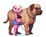  2018 ambiguous_gender anthro belly breasts canine clothed clothing collar cyancapsule denim_shorts dog duo ear_piercing emelie female feral hair hi_res leash mammal midriff navel piercing pig porcine purple_eyes shorts simple_background slightly_chubby smile white_background white_hair 