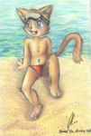  2007 blush cat clothing enlil eyewear feline goggles green_eyes kemono kyubi male mammal open_mouth swimsuit young 