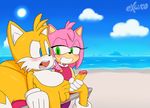  amy_rose balls beach blue_eyes blush canine chair clothing cloud dress drooling erection excito eyelashes female fox fur gloves green_eyes grin handjob hedgehog male mammal miles_prower open_mouth outside penis saliva sea seaside sex sitting smile sonic_(series) spreading sun water 