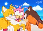  &lt;3 amy_rose badger balls beach blue_eyes blush breasts canine chair clothing cloud dress erection excito eyelashes female fox fur gloves green_eyes group hairband half-closed_eyes hand_on_penis handjob hedgehog male mammal miles_prower mustelid nipples open_mouth outside penis sea seaside sex sitting smile sonic_(series) sonic_boom spreading steam sticks_the_jungle_badger sun water 
