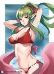 arms_up bangs bikini breasts chiki fire_emblem fire_emblem:_kakusei fire_emblem:_monshou_no_nazo fire_emblem_heroes green_eyes green_hair highres large_breasts long_hair looking_at_viewer mamkute pointy_ears ponytail solo standing summer swimsuit tiara yo-nashi 