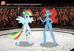  animal_humanoid crossover duo female fight friendship_is_magic humanoid my_little_pony ponymaan rainbow_dash_(mlp) undertale undyne video_games wings wrestling 
