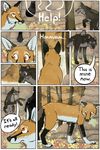  animal_genitalia canine comic digital_media_(artwork) female feral fox fur male mammal peeing sheath tailshigh tongue urine wolf 