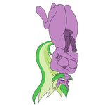  animal_genitalia animal_penis anthro balls breasts butt crossgender dickgirl dragon equine_penis erection friendship_is_magic green_eyes green_hair hair hi_res horn intersex lurkingtyger multi_penis my_little_pony nipples nude penis solo spike_(mlp) thick_thighs upside_down 