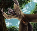  2018 big_bad_wolf blue_eyes bulge canine clothed clothing digital_media_(artwork) forest little_red_riding_hood_(copyright) looking_at_viewer male mammal medieval muscular muscular_male outside sevenarms smile solo standing tree wolf 