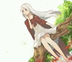  albino bangs barefoot cape dress elysion flower highres hood hrmnas in_tree lafrenze long_hair nature red_cape red_eyes sitting sitting_in_tree solo sound_horizon spider_lily tree white_dress white_hair 