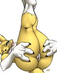  2017 3_fingers alpha_channel anthro areola black_sclera blue_eyes breasts claws digimon digital_media_(artwork) dipstick_ears facial_markings female fur furball gloves_(marking) legs_up lying markings multicolored_fur nipples on_back one_eye_closed pussy renamon simple_background socks_(marking) solo transparent_background two_tone_fur 