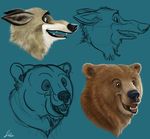  2016 bear canine fur koidelcoyote mammal open_mouth signature sketch teeth wolf 