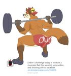  2018 anthro back_muscles backwards_baseball_cap baseball_cap biceps bulge canine clothed clothing crouching exercise fingerless_gloves fox fur gloves hat linkin_monroe looking_at_viewer male mammal muscular muscular_male orange_fur owo rear_view red_fox simple_background solo sweat sweatdrop tongue tongue_out topless weightlifting weights white_background workout 