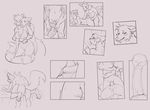  2017 aaron_(character) all_fours anthro anthro_on_anthro arctic_fox bed black_and_white blush breasts canine clitoris cum cum_in_pussy cum_inside doggystyle ejaculation erection female fox from_behind_position fuzzamorous happy happy_sex hot_dogging hug humanoid_penis male male_penetrating mammal monochrome nervous nipples nude orgasm penetration penis procyonid pussy raccoon robin_(character) romantic_couple sex shy smile vaginal vaginal_penetration 