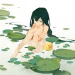  a-shacho asui_tsuyu bare_shoulders barefoot black_hair boku_no_hero_academia breasts brown_eyes cleavage covering full_body hair_between_eyes knees_up leg_hug lily_pad long_hair looking_at_viewer medium_breasts naked_towel outdoors partially_submerged rubber_duck smile solo towel very_long_hair water 