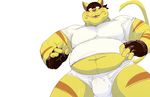  2017 anthro belly blush briefs brown_fur cat chance_furlong clothing daire301 digital_drawing_(artwork) digital_media_(artwork) feline fur gloves hi_res looking_at_viewer male mammal mask overweight shirt simple_background solo solo_focus stripes swat_kats sweat tighty_whities underwear whiskers white_background yellow_fur 