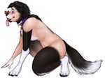 2017 anthro balancing black_fur black_nose blue_eyes border_collie canine collar collie digital_drawing_(artwork) digital_media_(artwork) dog dog_treat fur human madamsquiggles male mammal multicolored_fur multicolored_tail nude purple_collar simple_background smile solo story story_in_description thenomeking tongue tongue_out transformation two_tone_fur white_background white_fur 