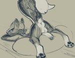  2018 animal_crossing anthro butt dacad erection kicks_(animal_crossing) looking_at_viewer male mammal monochrome nintendo penis presenting presenting_hindquarters sketch skunk solo video_games 